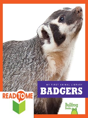 Badgers - ebook